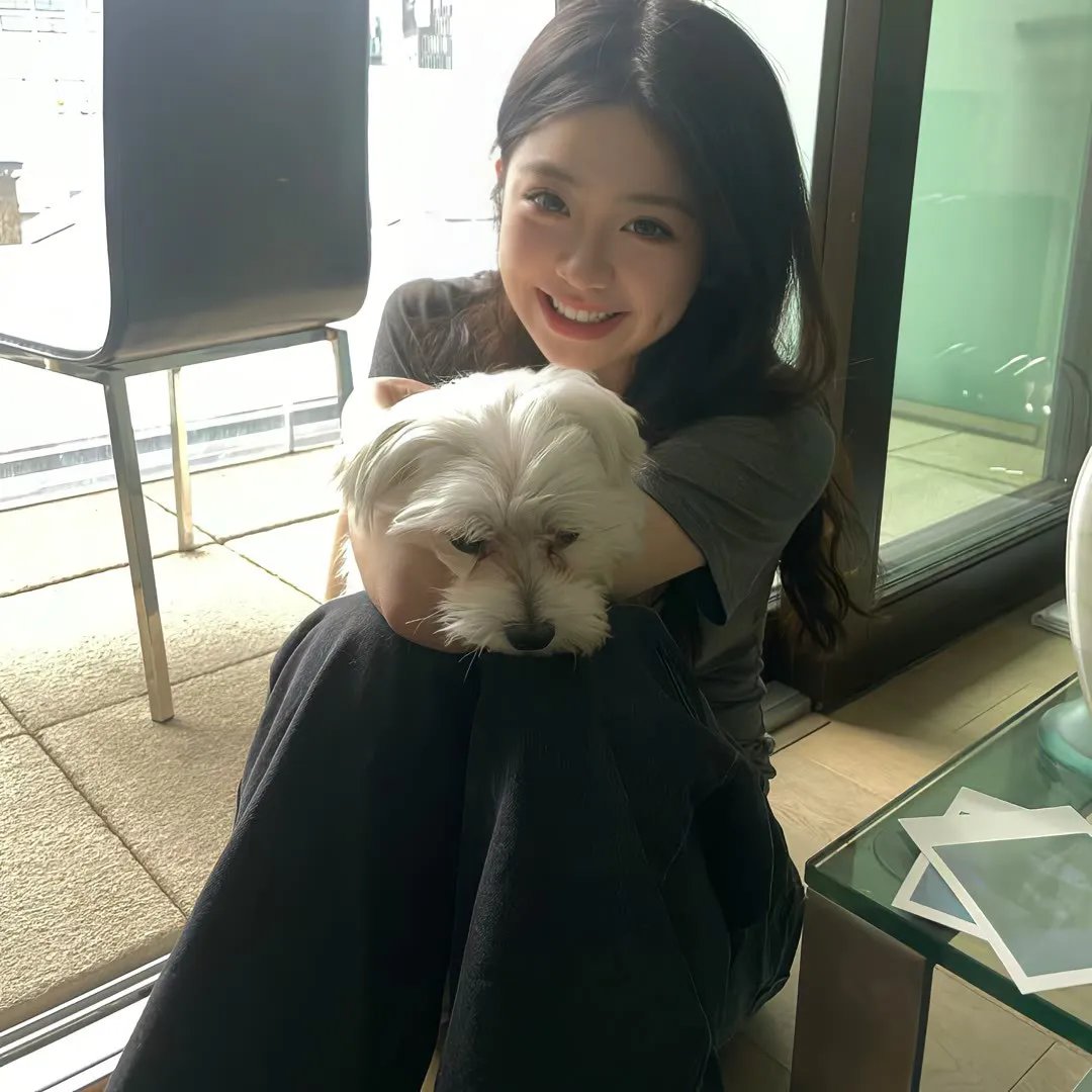 乐高超级英雄女孩：记忆大追捕